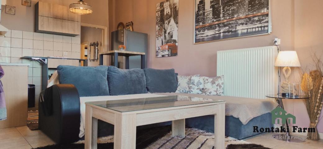 Rontaki Farm Appartement Kyparissia Buitenkant foto